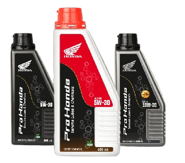 Home lubs removebg preview